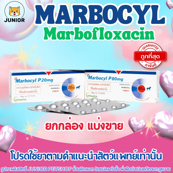Marbocyl (Marbofloxacin) ชนิดเม็ด ใช้สำหรับสุนัข และแมว มี 2 ขนาด 20mg, 80mg image 1 Marbocyl (Marbofloxacin) ชนิดเม็ด ใช้สำหรับสุนัข และแมว มี 2 ขนาด 20mg, 80mg image 1