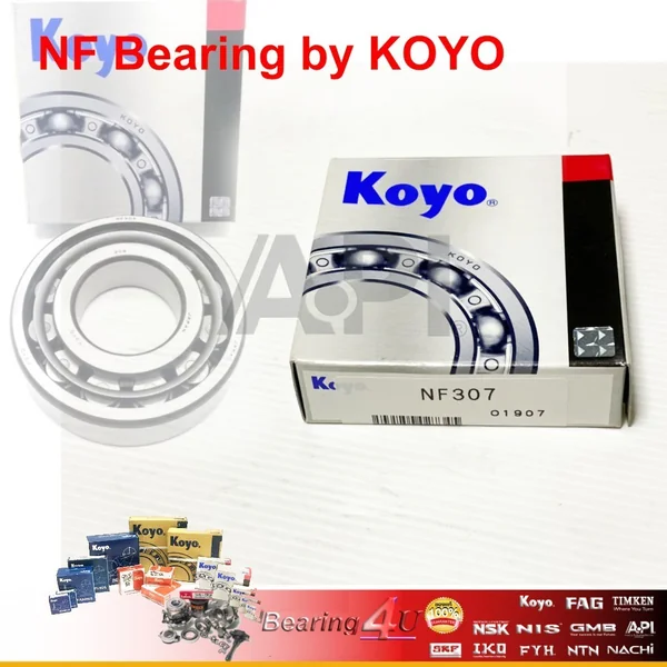 KOYO ลูกปืนเม็ดหมอน NF307 NF-307 NF 307 JAPAN วงนอก 80 mm. รูใน 35 mm. ความหนา 21 mm. JAPAN KOYO ลูกปืนเม็ดหมอน NF307 NF-307 NF 307 JAPAN วงนอก 80 mm. รูใน 35 mm. ความหนา 21 mm. JAPAN