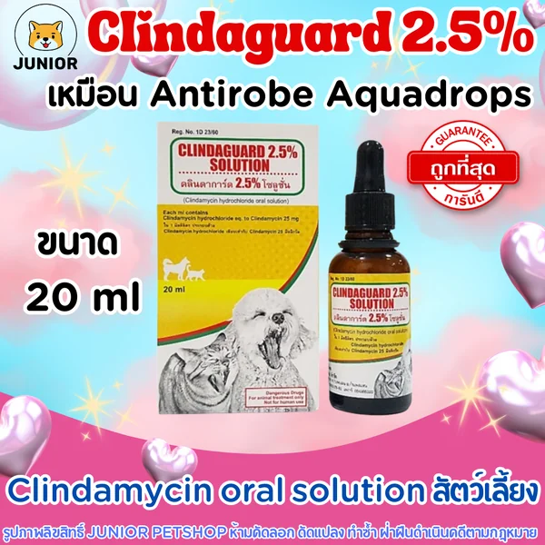 Clindaguard 2.5% Solution ฆ่าเชื้อ แผลในช่องปาก เหงือกอักเสบ สำหรับสุนัขและแมว 20ml เหมือน Antirobe aquadrops image 1 Clindaguard 2.5% Solution ฆ่าเชื้อ แผลในช่องปาก เหงือกอักเสบ สำหรับสุนัขและแมว 20ml เหมือน Antirobe aquadrops image 1