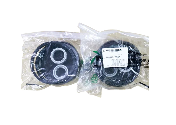SEAL KIT (1319.100.0.01)