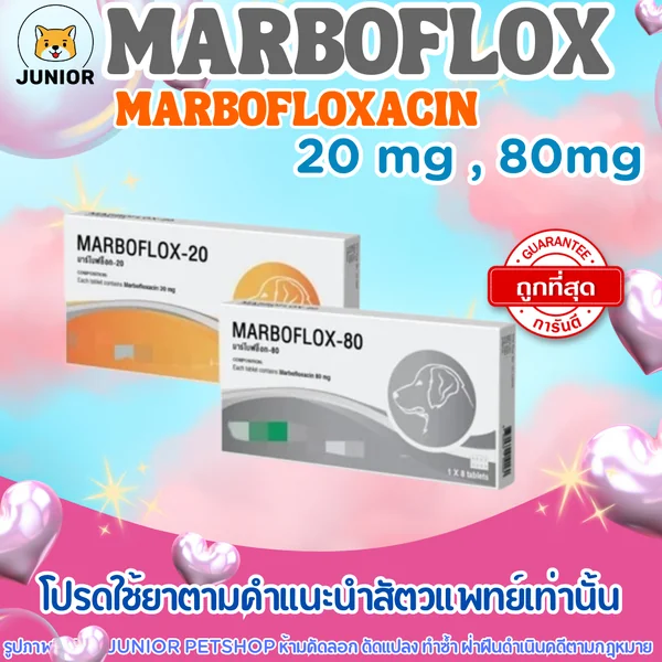 Marboflox 20mg, 80mg มาร์โบฟลอกซ์ 20มก, 80มก (20mg แผงละ 10เม็ด/80mg แผงละ 8เม็ด) image 1 Marboflox 20mg, 80mg มาร์โบฟลอกซ์ 20มก, 80มก (20mg แผงละ 10เม็ด/80mg แผงละ 8เม็ด) image 1
